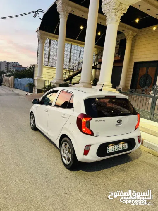 دهان شركة  فحص نخب السعر39000 كاش