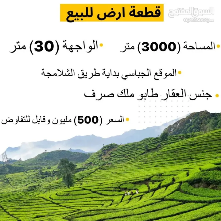 قطعة للبيع (3000) متر الجباسي