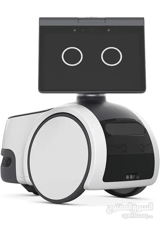 Amazon Astro Robot