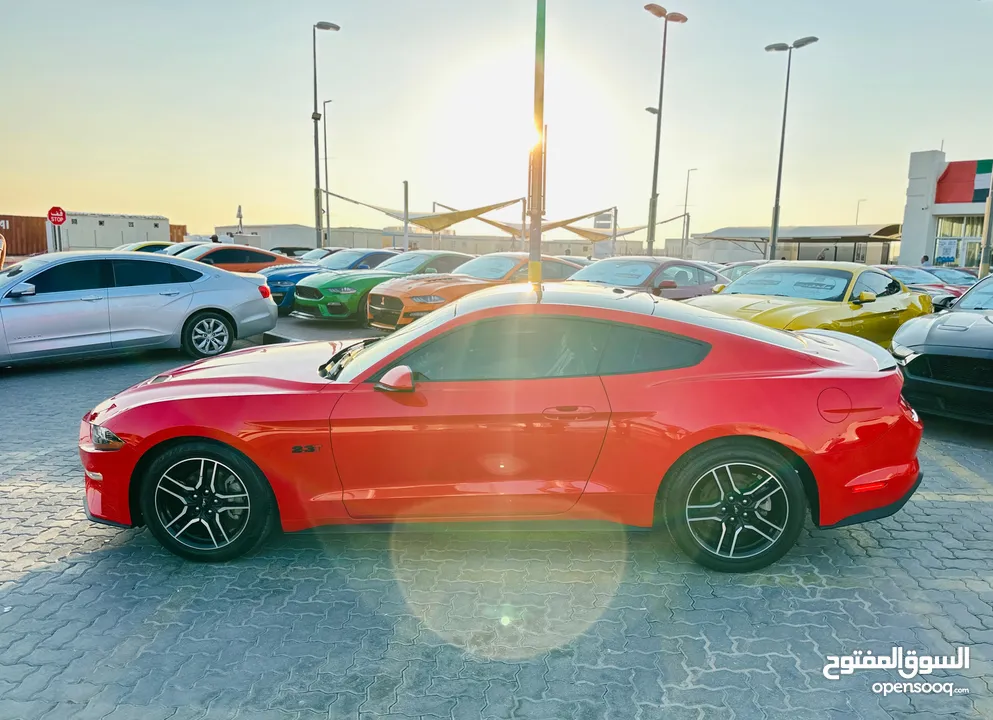 FORD MUSTANG ECOBOOST 2019