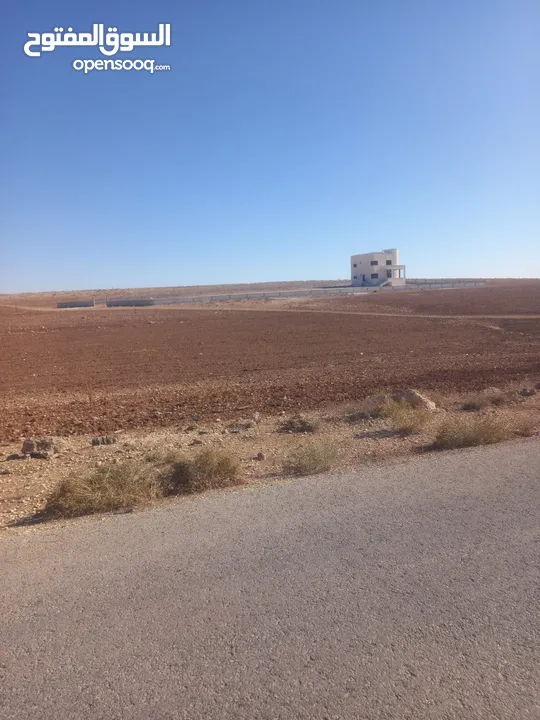 ارض للبيع شرق جامعة العلوم والتكنولوجيا