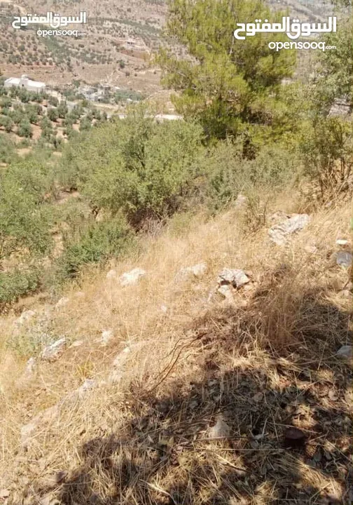 قطعه ارض للبيع