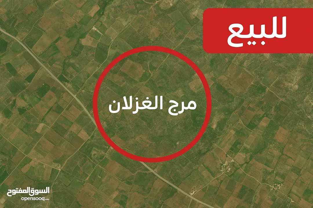 � أراضٍ للبيع في مرج الغزلان – قرب حاجز مزموريا (5 دقائق فقط)