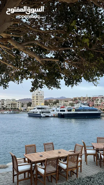 احجز عطلتك الآن في أجمل شاليهات العقبة داخل منتجع التالا بي