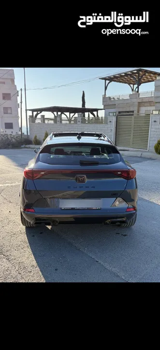 كوبرا فورمينتو 2025