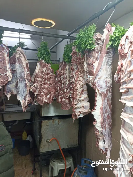 ملحمة ومسلخ خاص وأرض "مزرعة" للبيع