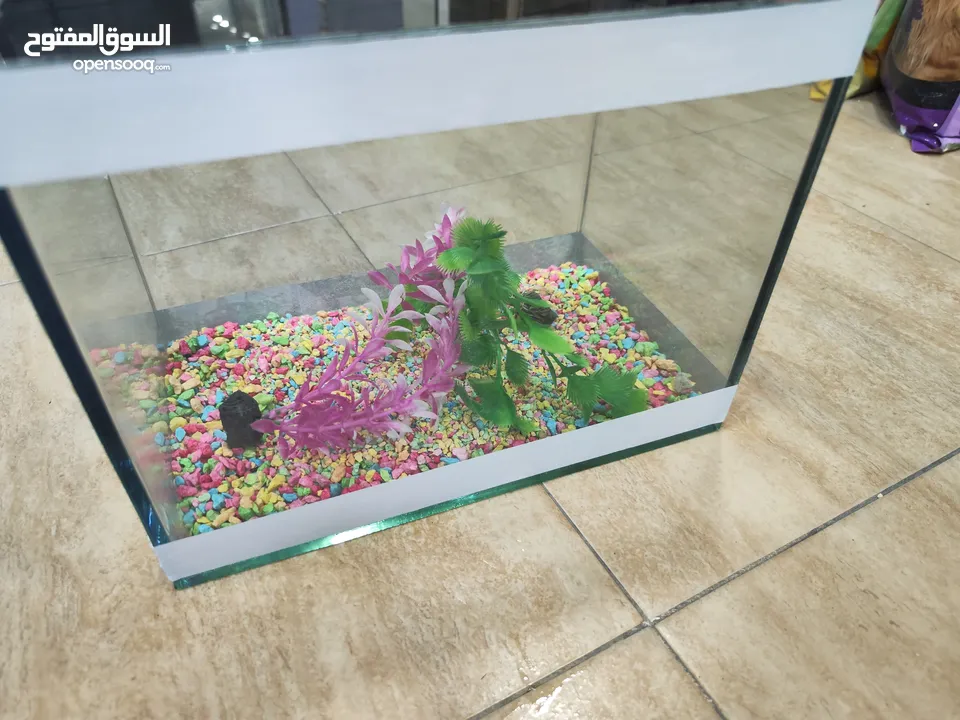 حوض سمك مجهز عبي مي و حط سمكاتك ، الطول 32 سم ارتفاع 23 سم عمق 21 سم
