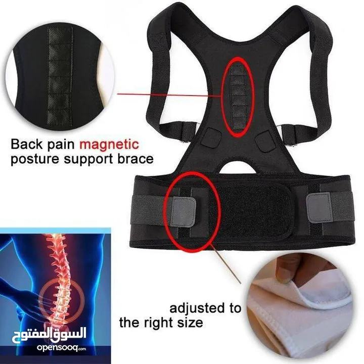 Sport Protecting الاصلي حزام التحدب  مشد الظهر المغناطيسي  التوصيل مجاني
