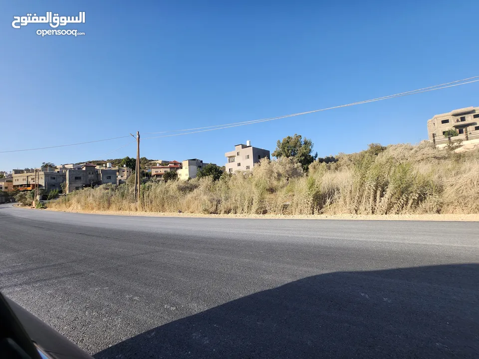 فرصة بالجاروشية