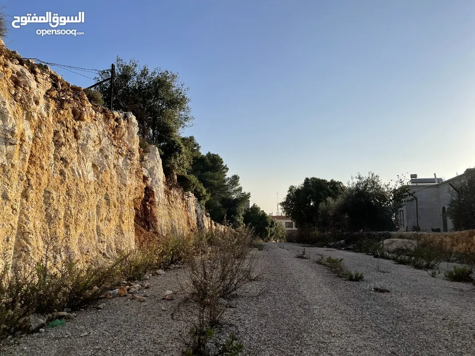 أرض للبيع في ماحص 774 م ذات اطلاله غربيه عاليه لايمكن  حجبها تبعد عن دابوق 10 دقائق فوق فلل الشامي