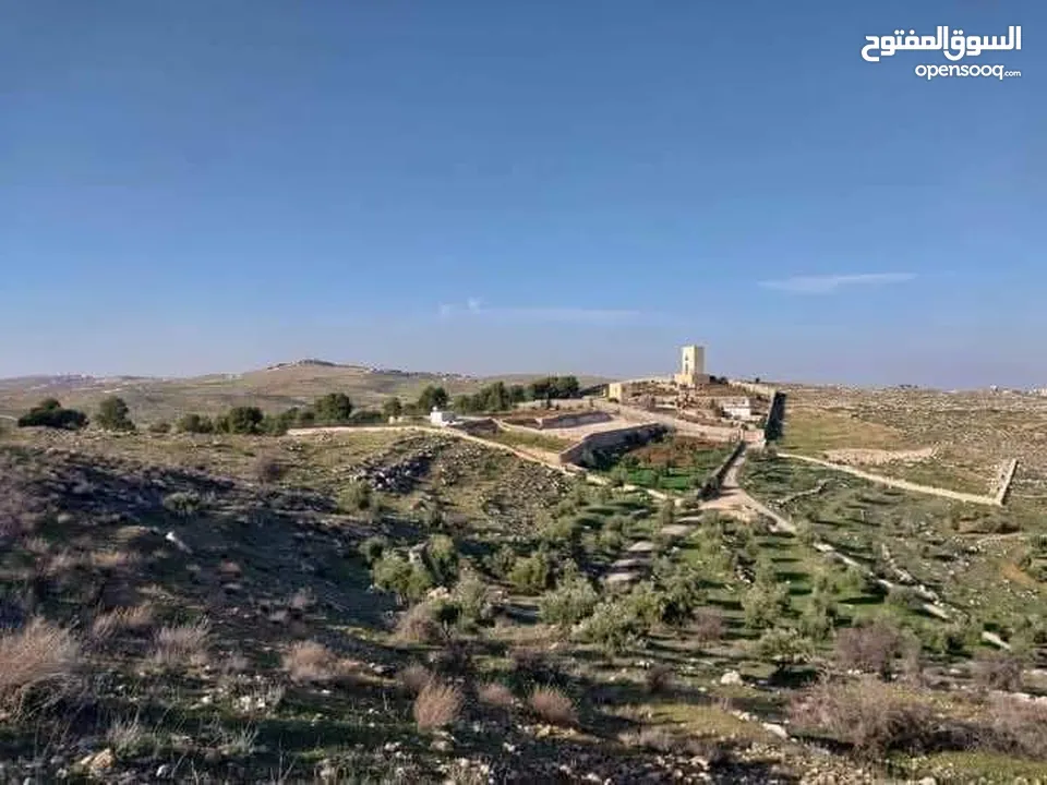 8 دونمات منطقة نادره قرب جرش  وممكن جزء من الثمن سياره