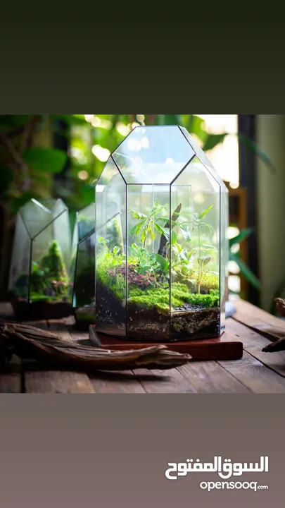 Moss walls for houses and office + Gallery 1 art work