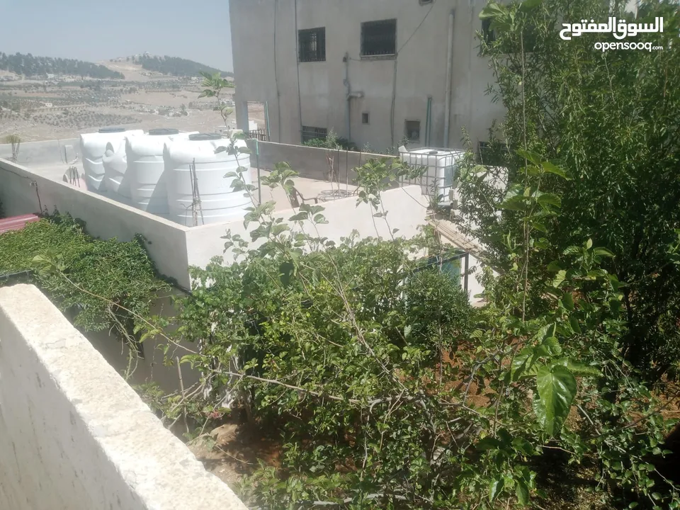 منزل مستقل جرش اسكان عجرمه  3غرف نوم 2حمام  صاله مع مطبخ امريكي  بلكونه  حديقه مساحه الارض 305