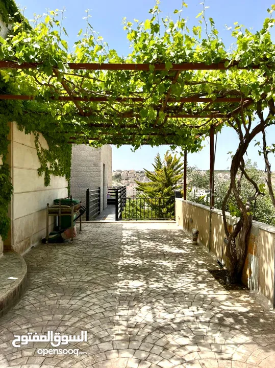 Furnished Villa to Rent  ( Property 42540 )-174787265