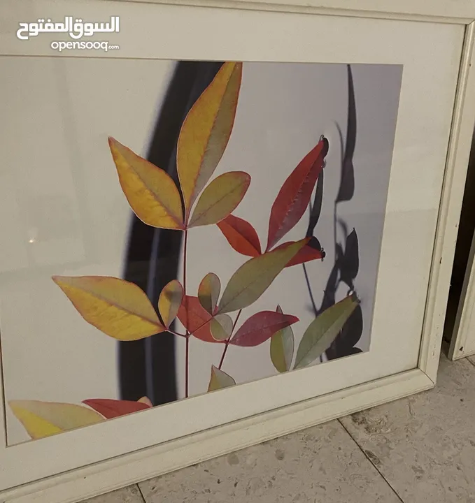 flower rose art poster perfect condition لوحة ورود للزينة