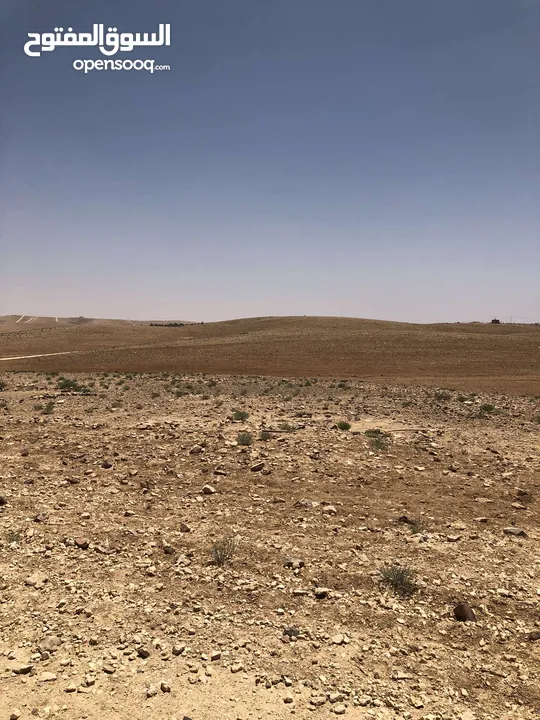 ارض للبيع المناخر حوظ البركه مساحه القطعه 32 ونص واجهة على شارع 24 146متر مطلوب 11ونص