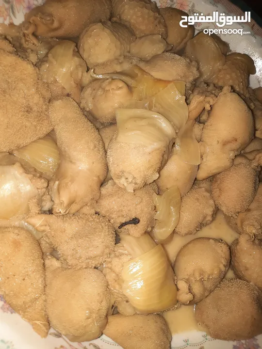تدريب على الاكل وعلى عمل الصبوان