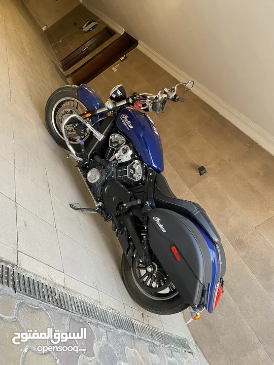 Indian scout 2021