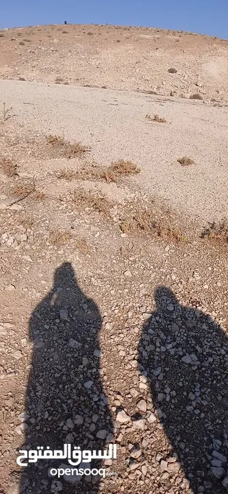 قطعه ارض للبيع