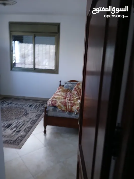 شقة مفروشة للايجار