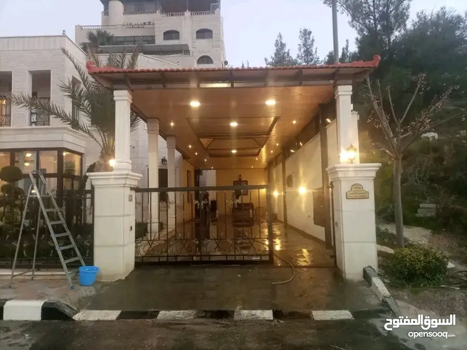 صيانه كافه اعمال الكرميد من تسريب المياه واستبدال الحبه المكسوره ومعالجه الخشب