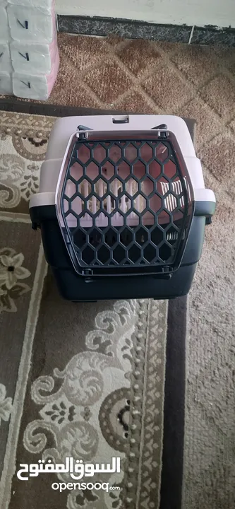 بيت قطط $$