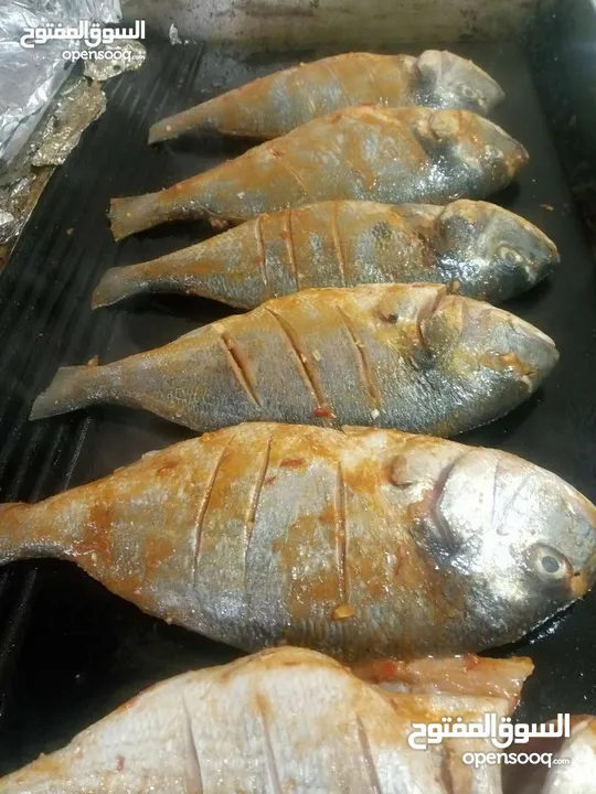 شيف طباخ شرقي وغربي وسلطات ابحث عن عمل خبره اكثر من 15سنه في فندق القدس وفندق جراند بلاس عمان