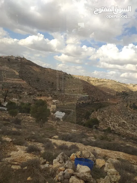 دورا جبل ابو عشرة