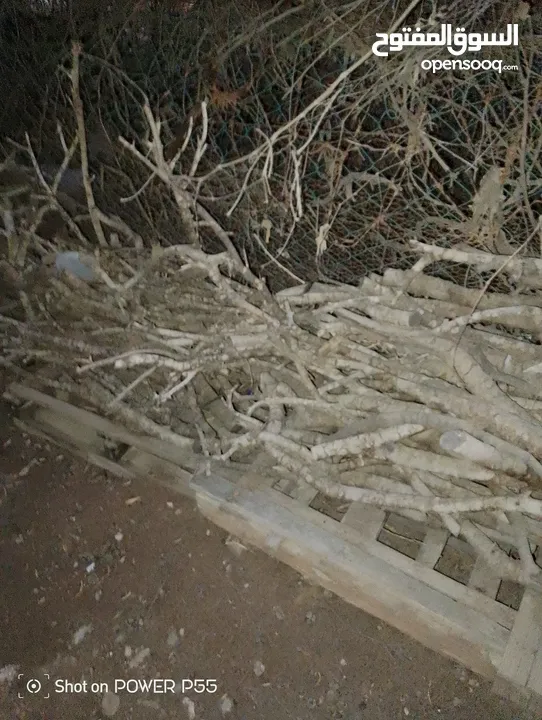 تشكيلة حطب للبيع