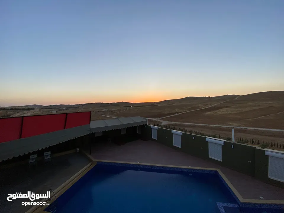 شالية الكرم