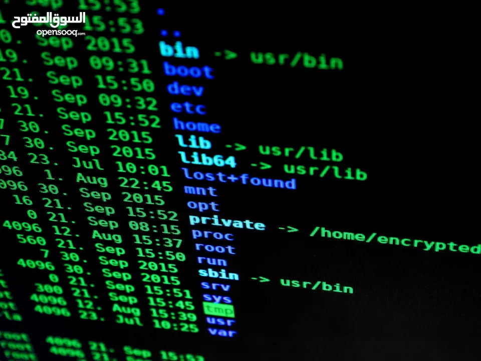 لقاء مجاني: تعلّم تبدأ شغلك أونلاين