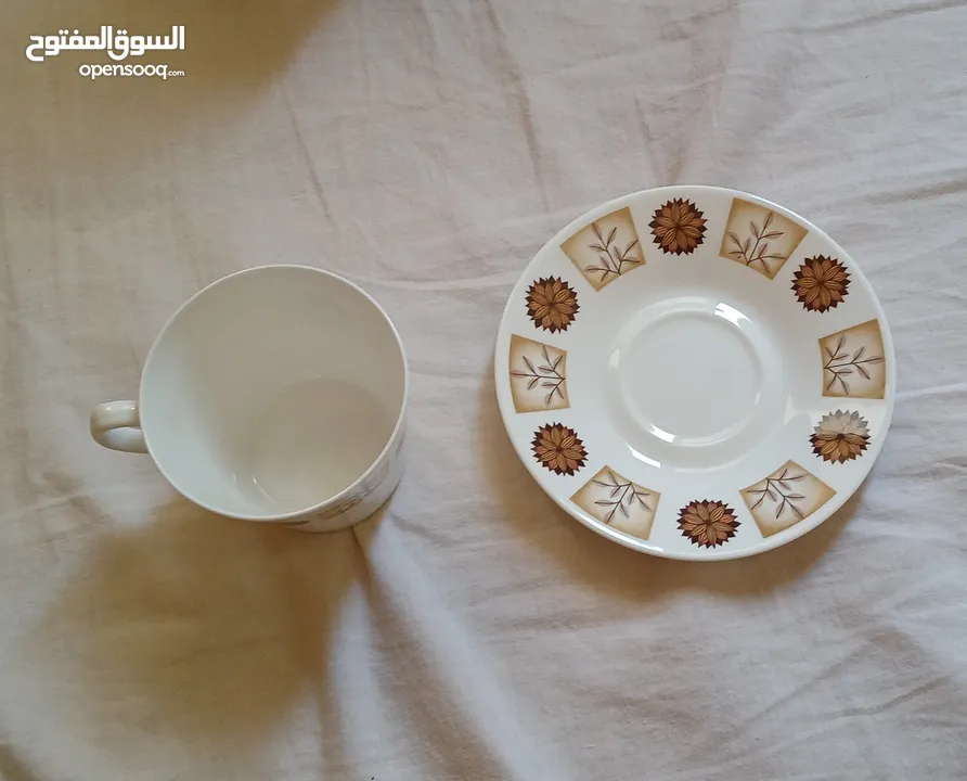 فنجان وصحن فاخر - ماركة Royal Vale الإنجليزية الأصلية