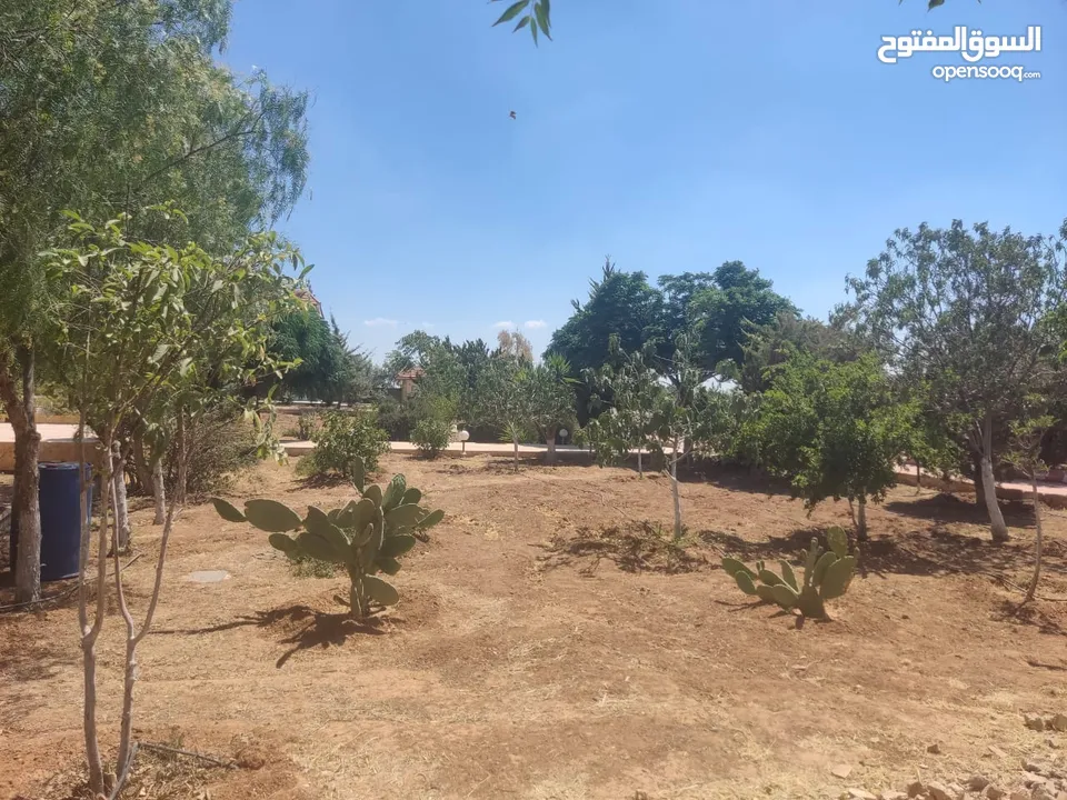 مادبا حواره مزرعه للبيع