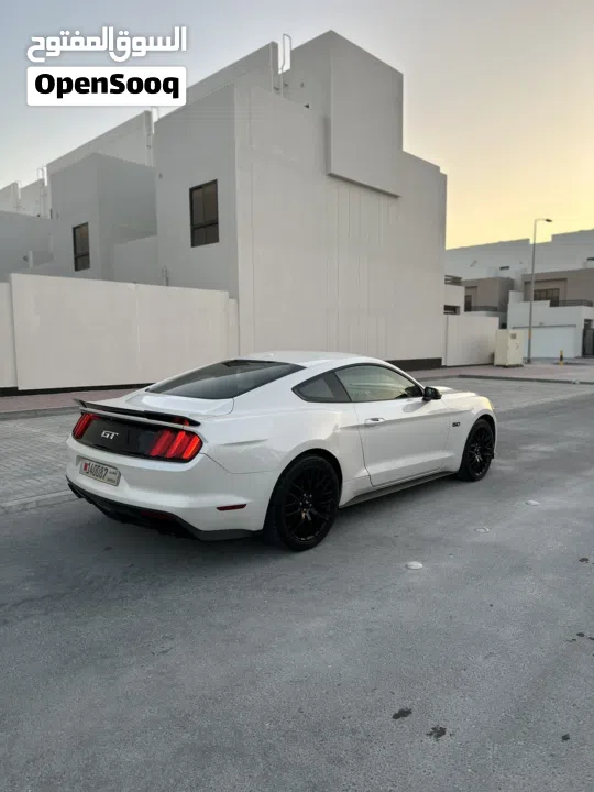 موستغ ((برفومنس بكج))