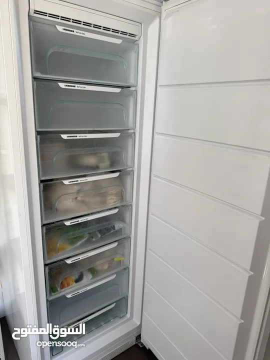 Liebherr Freezer