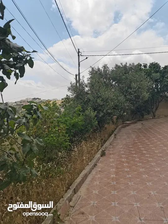 شقق  للبيع يوجد وصف بالبناء بالتفصيل مرفق بالإعلان ممكن بيع شقق وممكن العمارة كاملة