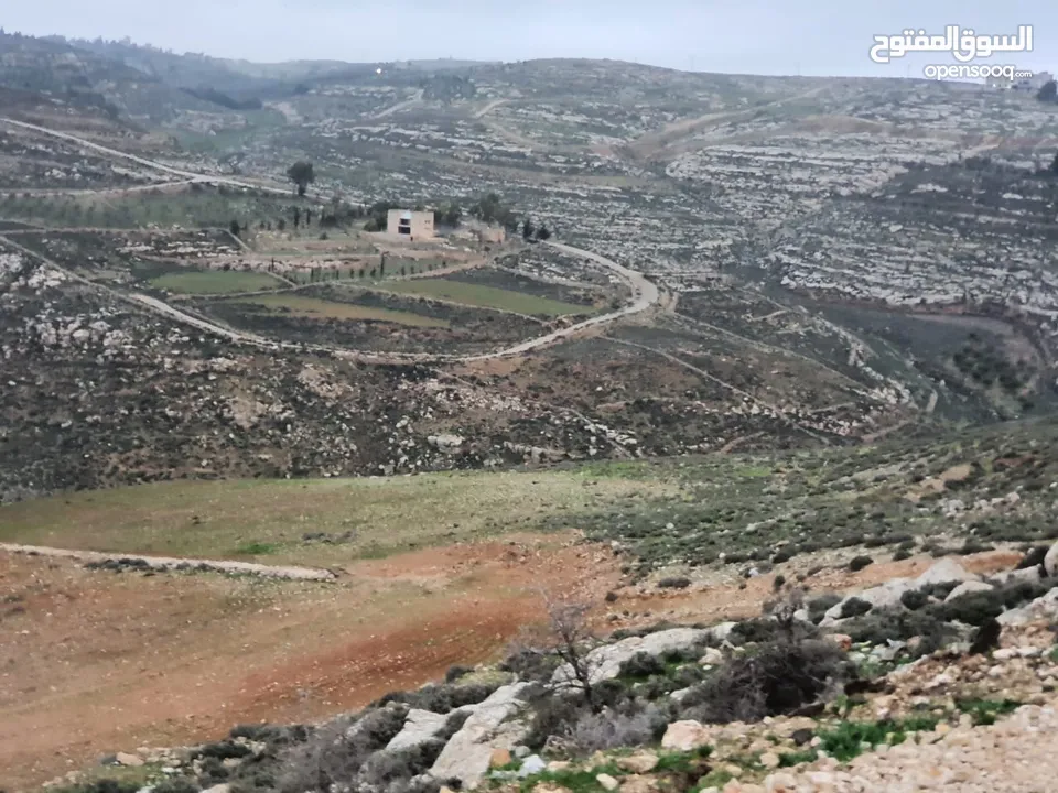 ارض للبيع مقابل بلدية حسبان/ناعور على هضبة مطلة على فلسطين 1660m ومن المالك مباشرة