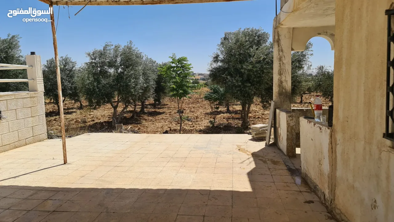ارض مميزه للبيع