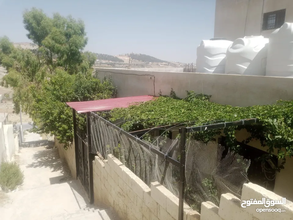منزل مستقل جرش اسكان عجرمه  3غرف نوم 2حمام  صاله مع مطبخ امريكي  بلكونه  حديقه مساحه الارض 305