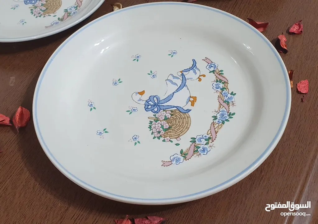 صحون HEIPEI للبيع