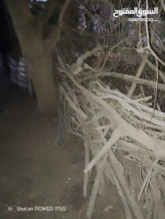 تشكيلة حطب للبيع