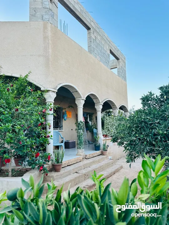 ابونعيم عمر