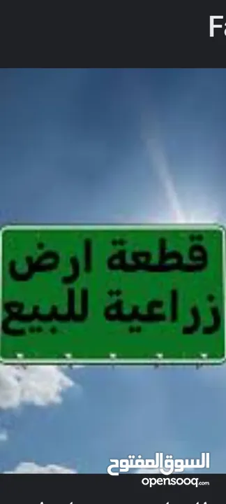ارض مميزة بأجمل مناطق شارع البترا اربد للبيع مشترك