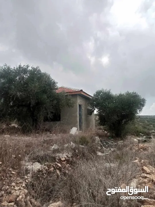 ارض للبيع واصل مي كهريا