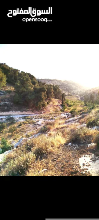 ارض للبيع في دورا الصره