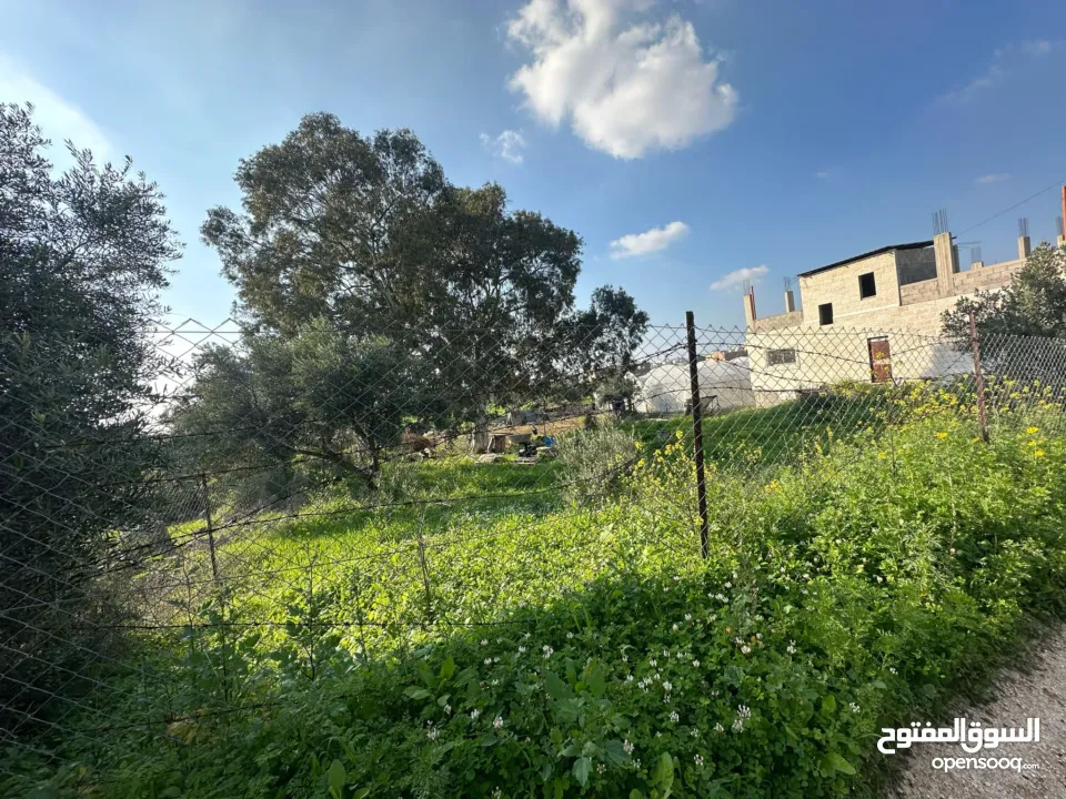 فرصة ذهبية للاستثمار أرض جبلية مميزة مسيجة .الفرصة بتيجي مرة وحده