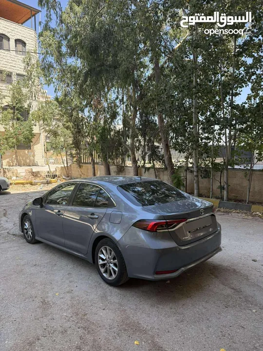 تويوتا كورولا 2019