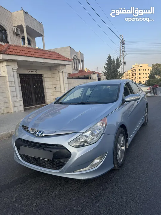 سوناتا وارد أمريكي