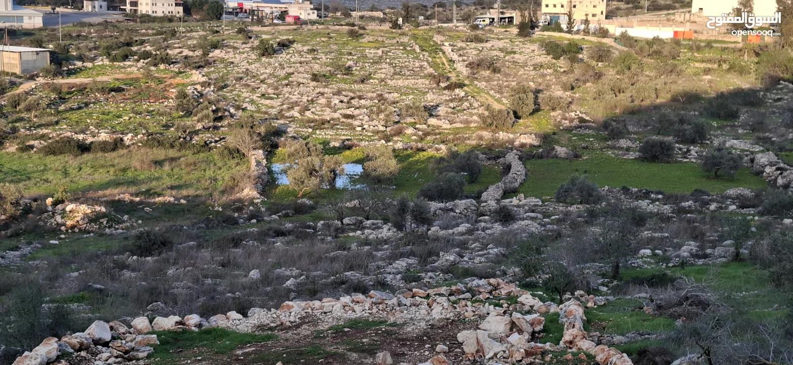800متر طابوا فلسطيني في اجمل موقع بالكفريات واطلالة مميزةمنطقة( b)صالحة للبناء