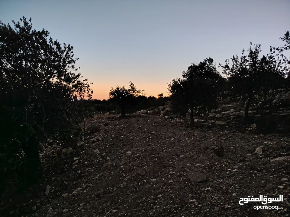 ارض للبيع 4300م على القوشان وعلى الواقع 12دونم متواجد بيت مساحة 380 متر طابقين +خزان يتسع50 متر